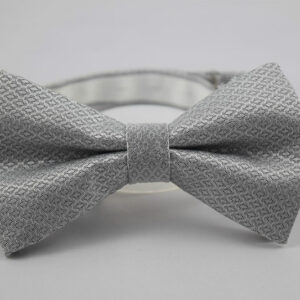 Silver Self-Design Bow Tie