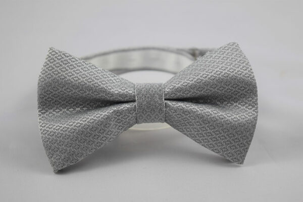 Silver Self-Design Bow Tie